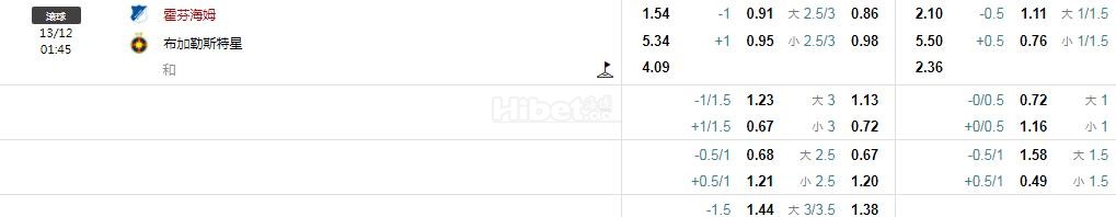 欧联杯 霍芬海姆VS布星